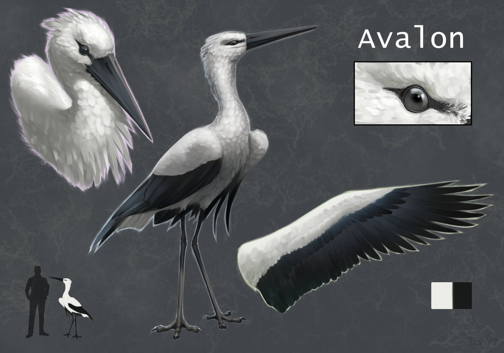 Bionic Stork Reference of stork by dsw7 on DeviantArt