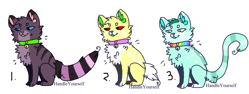 Sassy Cat Adopts (CLOSED)