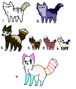 Assorted Adopts (OPEN)