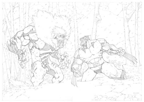 Wolverine VS Sabretooth Commission
