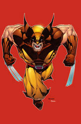 Wolverine