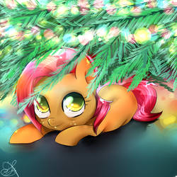 Babs seed loves to hide under the christmas tree