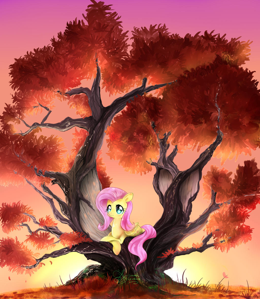 Shy on a tree
