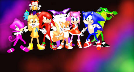 Sonic and the team