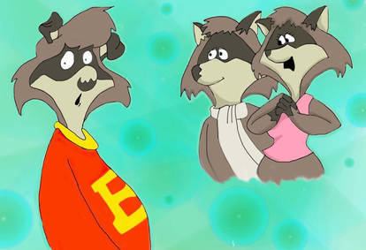 The Raccoons