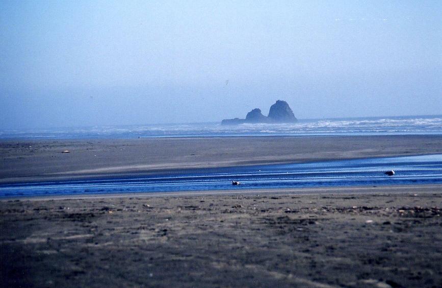 Rocks in the pacific