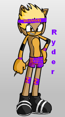 Zack Ryder Sonic Style 2