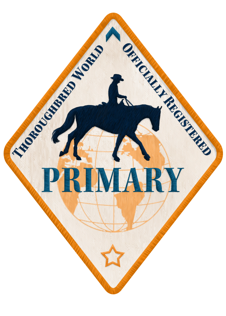 Twpatch TW Primary Patch by TWAdmin on DeviantArt