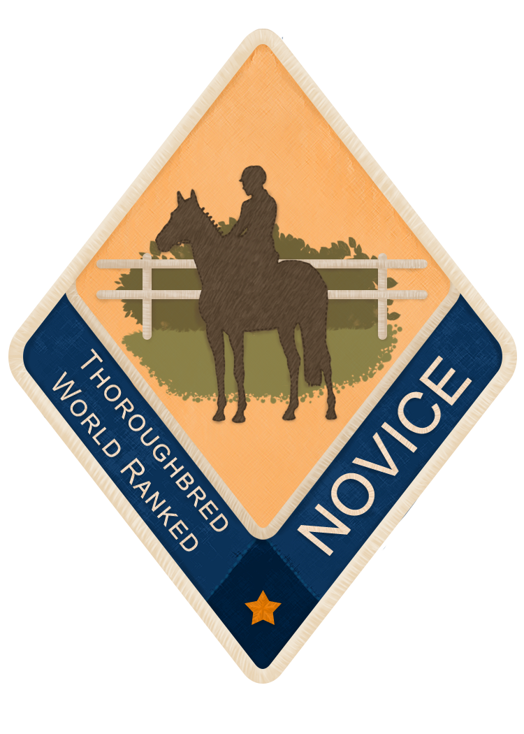 Twpatch TW Novice Patch by TWAdmin on DeviantArt
