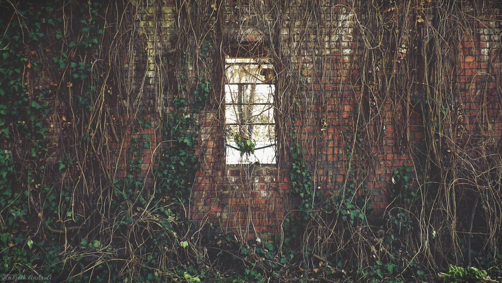 Clue Window Deviantart Window by handicc on DeviantArt