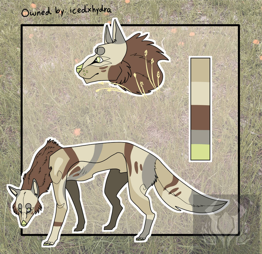 Jackal ref sheet by icedxhydra on DeviantArt