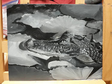 Black and white gator