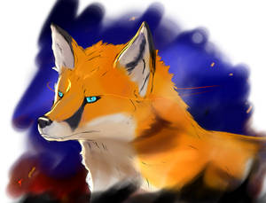 25 - Firefox