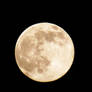 Golden Moon