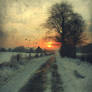Winter Sky