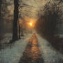 Winter's Path