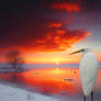 sunset on the lake