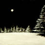 Winter Moon
