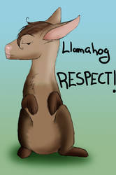 Happy Llamahog Day