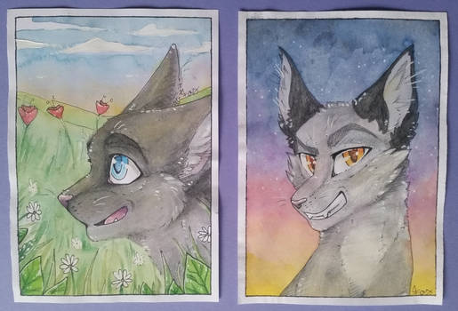Distelbluete and Sommerfrost | WarriorCats
