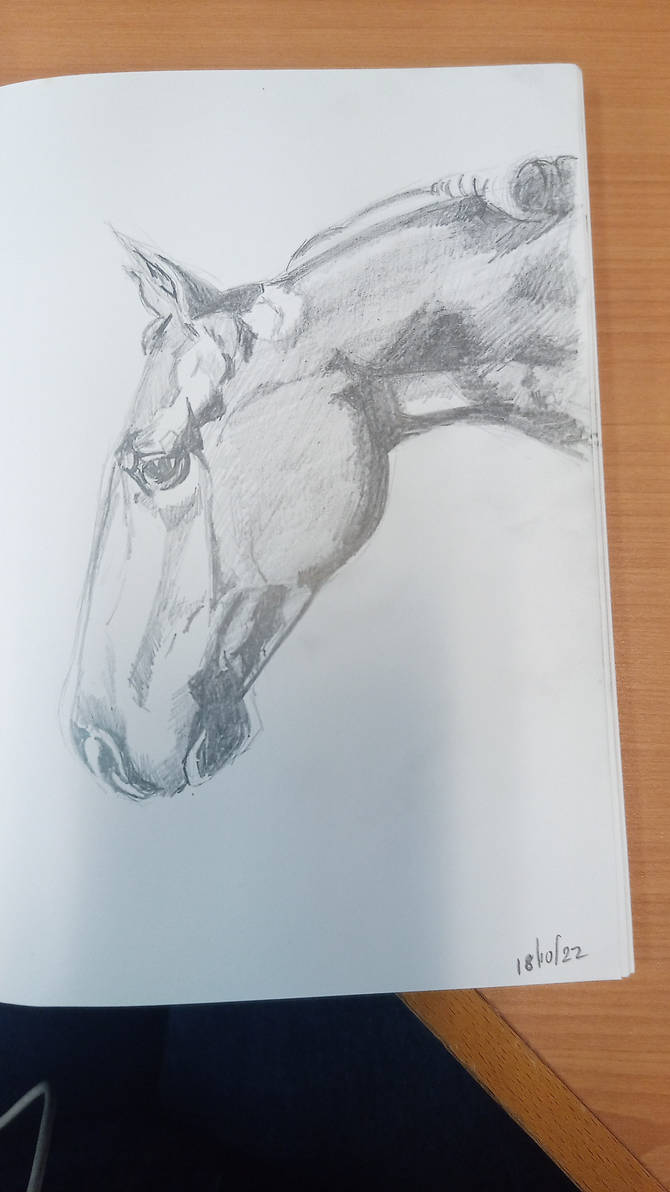 Greg Law 202210-04 Boka Da Vinci by Commanderlaw on DeviantArt