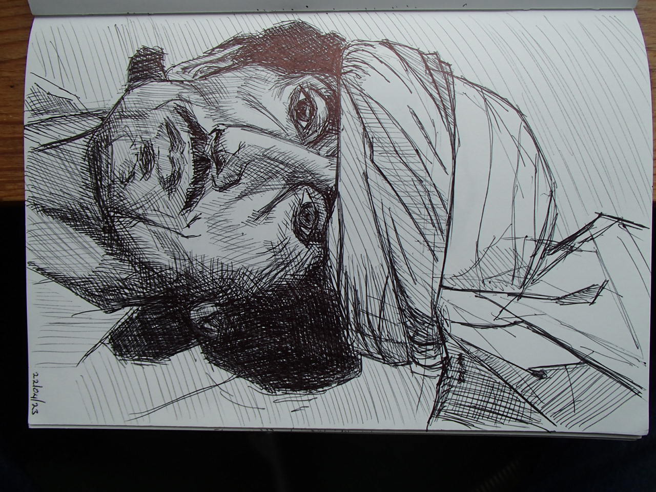 Greg Law 202304-10 Boka Polaris by Commanderlaw on DeviantArt