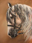 Horse 19 by Nagareth
