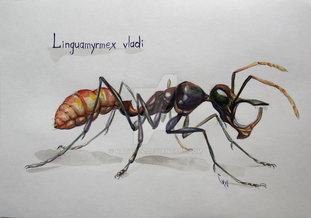 Linguamyrmex vladi