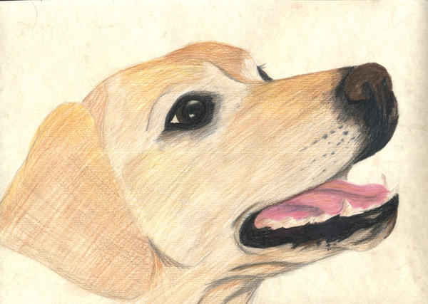 Raska by blue-unic0rn on DeviantArt