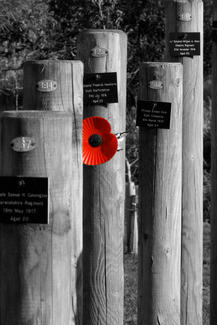 We Will Remember Them