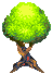 Small Tree