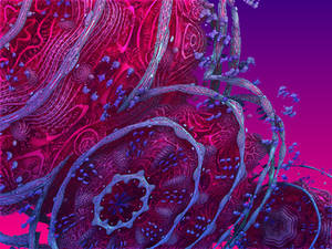 mandelbulb