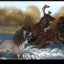 Running hooves and wet paws