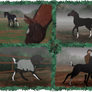 Foal training course collage for James