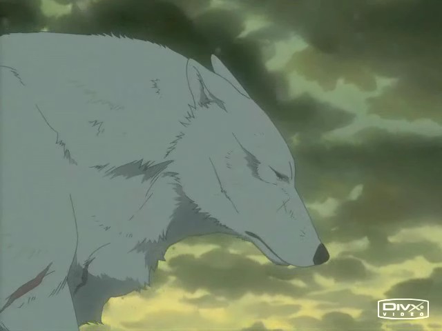 Kiba9