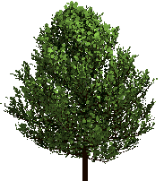 Strong wind moving tree 2 by Puffolotti4iji on DeviantArt