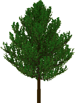Strong Wind On Foliage By Puffolotti4iji On DeviantArt strong-wind-on-foliage-by-puffolotti4iji-on-deviantart
