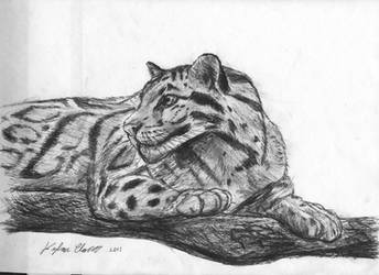 Chillax Snow Leopard