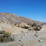 Path through the Desert