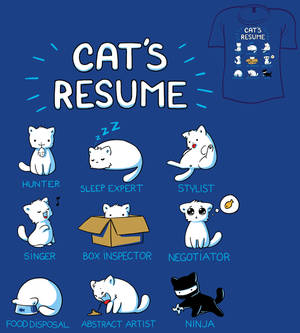 Woot Shirt - Cat's Resume