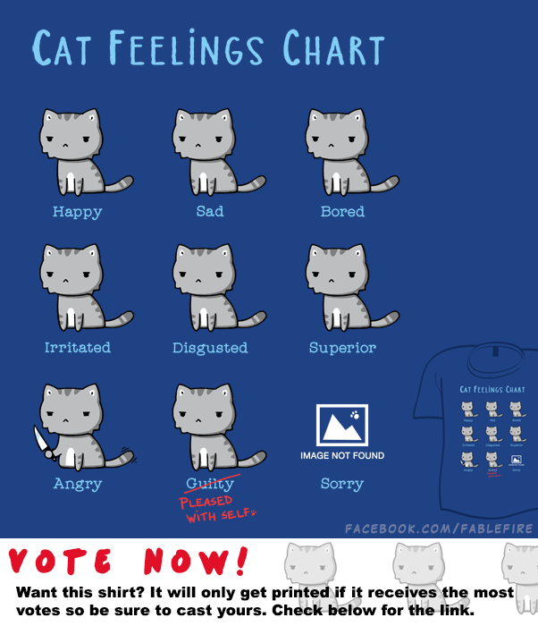 Woot Shirt - Cat Feelings Chart