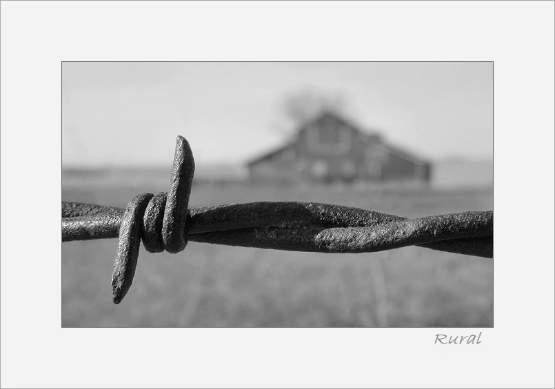 Barbed Wire