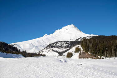 Mt Hood