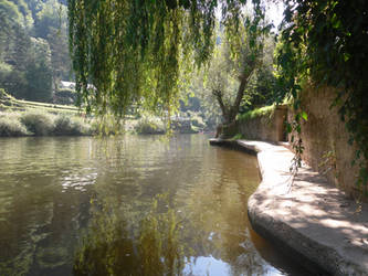 Willow over the Water.