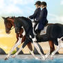 Equine Shark Week Event 2023 - Pax de deux
