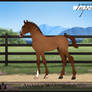 Amabiliswb Foal Design
