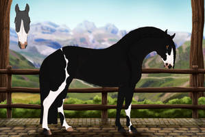 PuraRazaDeportiva Import 129