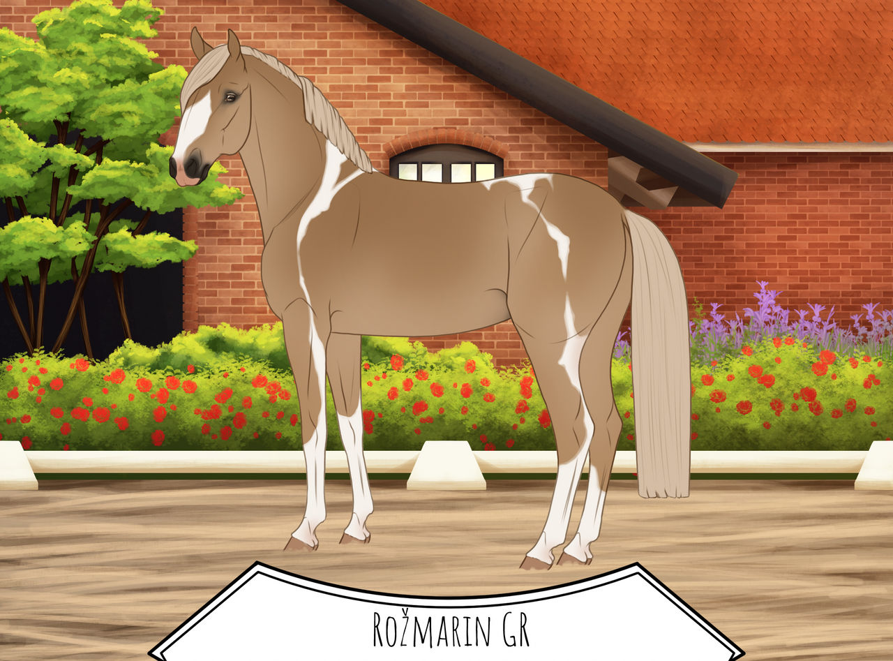 Rosmarin GR