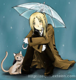 FMA : melodies of rain