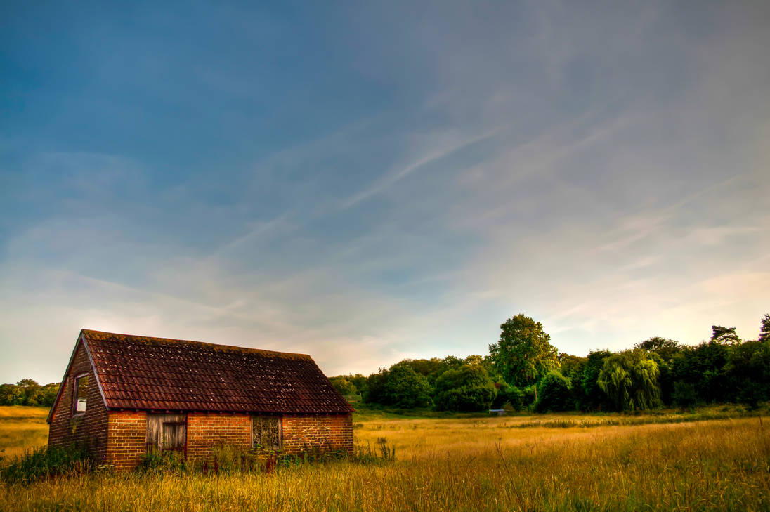 Field Of Gold by Willbo91